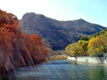 管家婆黑白马报图库，轻体房屋